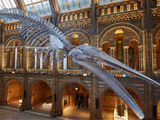 UK decides against charging foreign visitors for museums