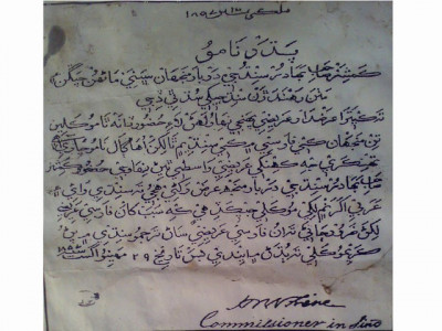 pakistan should mind all of its languages pakistan should mind all of its languages