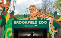 name a cockroach after your ex returns at chicago zoo