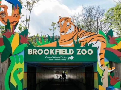 name a cockroach after your ex returns at chicago zoo