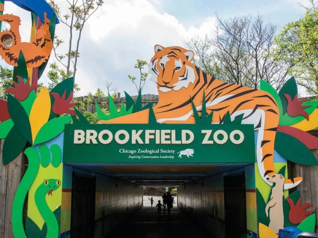 name a cockroach after your ex returns at chicago zoo