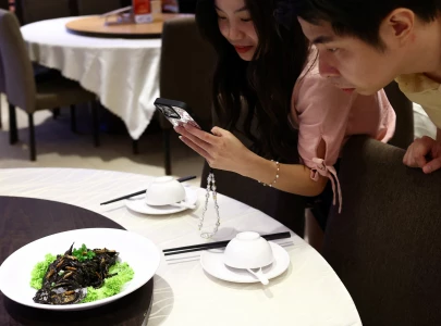 bugs for breakfast singapore says yes to 16 insect species for human consumption bugs for breakfast singapore says yes to 16 insect species for human consumption