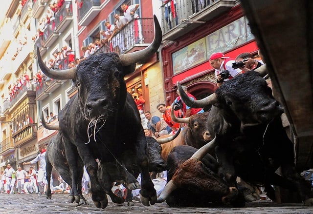 During this festival dating back to medieval times and also featuring religious processions, folk dancing, concerts and round-the-clock drinking. PHOTO: AFP