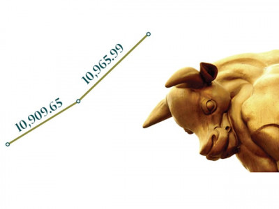 annual race bulls from punjab sindh compete