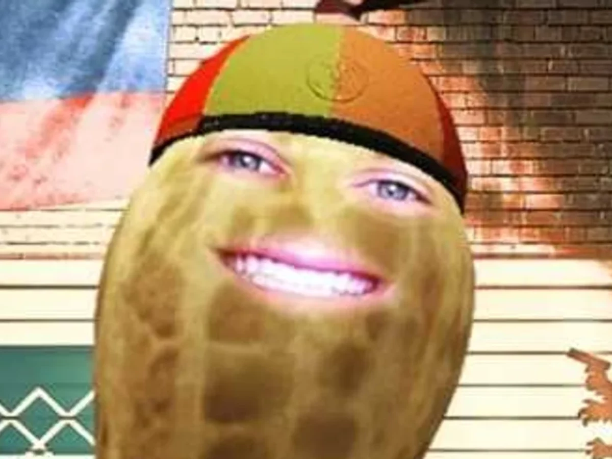 vtubing community debate follows burntpeanut s vtuber of the year win at the 2025 streamer awards