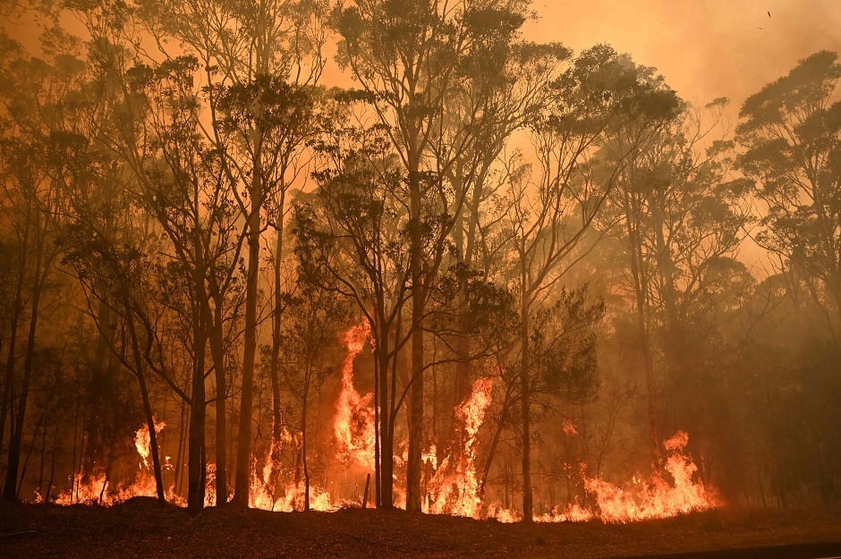 fire ravages koh sulaiman forest