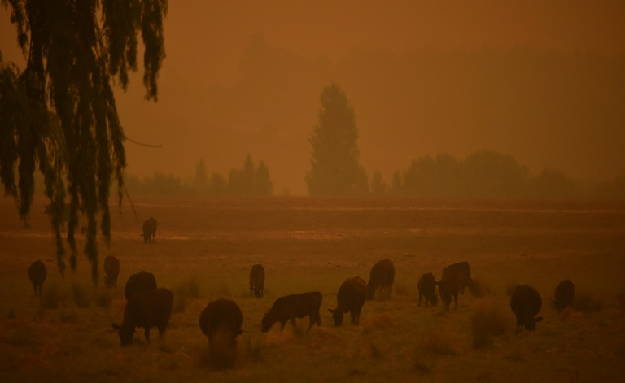 PHOTO: AFP