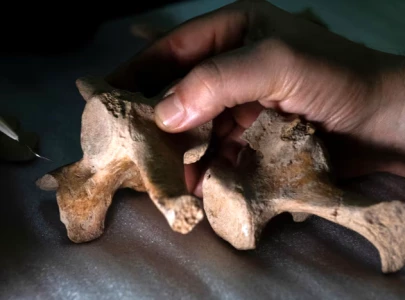 evidence for earliest human presence revealed in southern south america evidence for earliest human presence revealed in southern south america