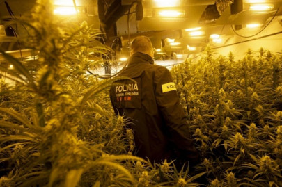 spain a paradise of weed for europe s drug traffickers spain a paradise of weed for europe s drug traffickers