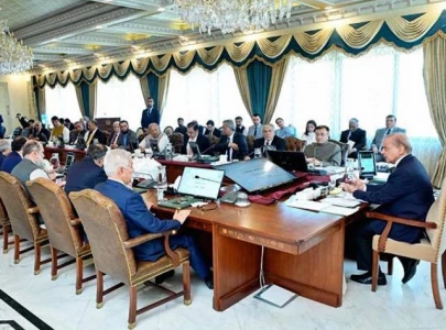 govt orders soes to disclose assets