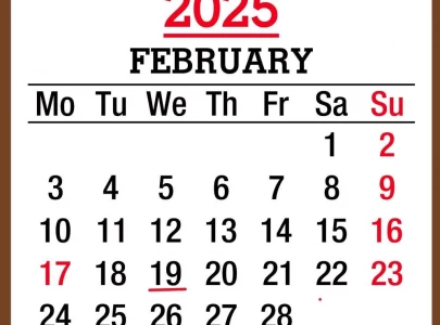 sindh govt announces public holiday on february 19