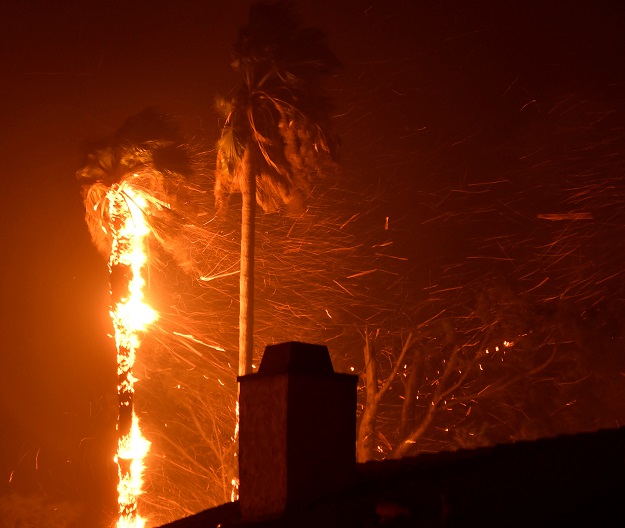 The wind-driven wildfire called the Saddle Ridge (Photo: Reuters)