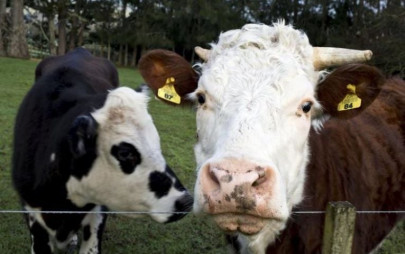 farmers provided on site consultancy farmers provided on site consultancy