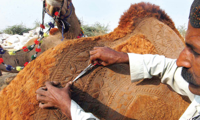 80 per cent of the city s butchers are already booked