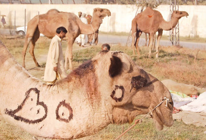 moving freely in the city