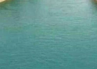 12 wedding guests killed in canal plunge