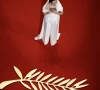 gaza trump dominate cannes festival gaza trump dominate cannes festival