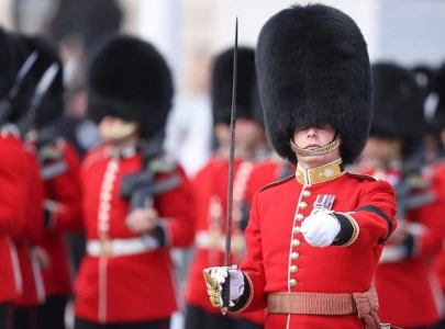 bearskin caps for buckingham palace guards soar over 2 000 peta demands fur ban bearskin caps for buckingham palace guards soar over 2 000 peta demands fur ban