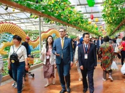 envoy visits china s vegetable capital envoy visits china s vegetable capital