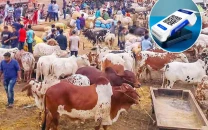 sbp launches go cashless campaign ahead of eidul adha sbp launches go cashless campaign ahead of eidul adha