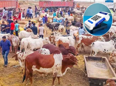 sbp launches go cashless campaign ahead of eidul adha