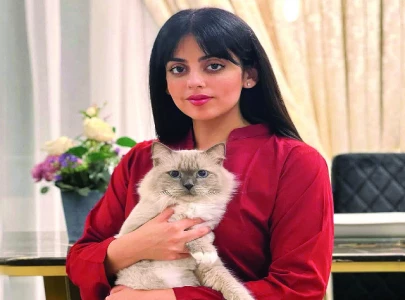 gill mourns cat s death gill mourns cat s death