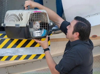 pets reunited with owners after texas floods as best friends animal society aids rescue efforts pets reunited with owners after texas floods as best friends animal society aids rescue efforts
