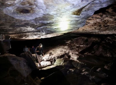 eco tourism replaces coca cultivation in colombia s heartland providing new livelihoods eco tourism replaces coca cultivation in colombia s heartland providing new livelihoods
