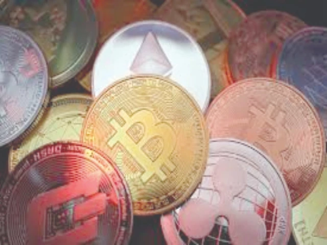 one of the most encouraging signs comes from right here in pakistan bilal bin saqib recently appointed as the chief advisor to the pakistan crypto council is a name to watch photo reuters one of the most encouraging signs comes from right here in pakistan bilal bin saqib recently appointed as the chief advisor to the pakistan crypto council is a name to watch photo reuters