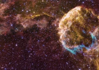 scientists spot two huge companion stars that blew up