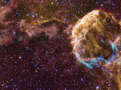 scientists spot two huge companion stars that blew up scientists spot two huge companion stars that blew up