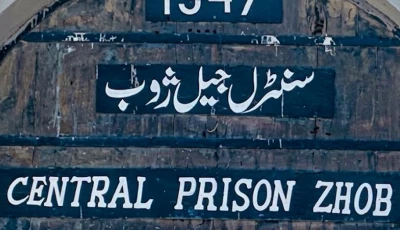 convicts freed from jail on fake orders convicts freed from jail on fake orders