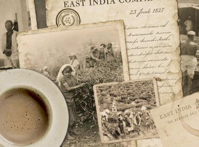 a cup of chai or the blood of your brothers a cup of chai or the blood of your brothers