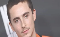 chalamet faces backlash over controversial statement