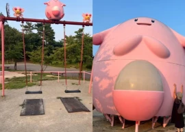 chansey pok mon parks in fukushima bring joy and support to disaster affected communities chansey pok mon parks in fukushima bring joy and support to disaster affected communities