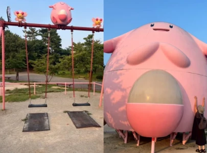 chansey pok mon parks in fukushima bring joy and support to disaster affected communities