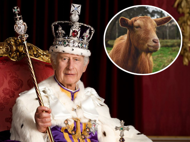 hugo burnand royal household 2023 ap hugo burnand royal household 2023 ap