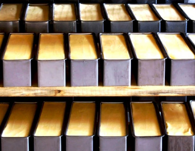 new yorkers sample cheese made from human breast milk new yorkers sample cheese made from human breast milk