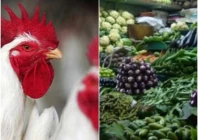 govt price lists fail to rein in runaway market rates govt price lists fail to rein in runaway market rates