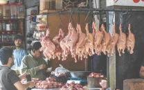 chicken prices skyrocket ahead of eid