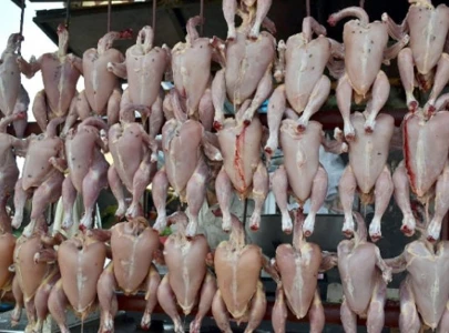 karachi eateries caught using meat from dead chickens karachi eateries caught using meat from dead chickens