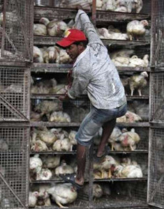 wash hands for 20 seconds to avoid the virus experts