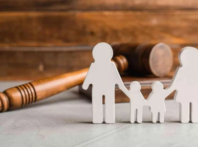 the custody clause that doesn t exist