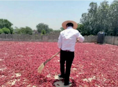 new pak china agri route opens new pak china agri route opens