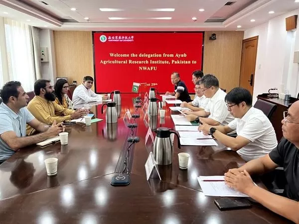 pakistan and china will focus on crop cultivation and other agricultural sectors photo app pakistan and china will focus on crop cultivation and other agricultural sectors photo app