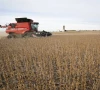 gdp share no measure of farm tax gdp share no measure of farm tax