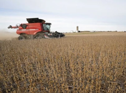 china says us protectionism undermines agricultural ties china says us protectionism undermines agricultural ties