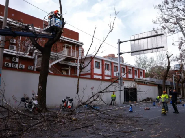 chinese emergency team members cut off tree branches following strong winds that damaged a power pole in beijing photo reuters chinese emergency team members cut off tree branches following strong winds that damaged a power pole in beijing photo reuters