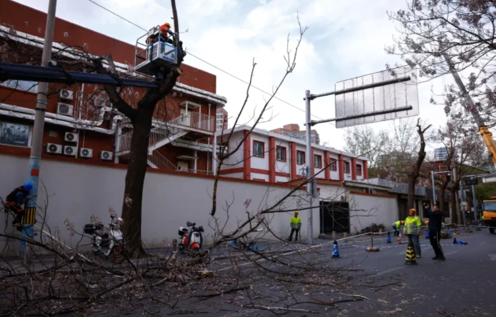 chinese emergency team members cut off tree branches following strong winds that damaged a power pole in beijing photo reuters chinese emergency team members cut off tree branches following strong winds that damaged a power pole in beijing photo reuters