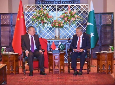 chinese minister urges closer ties to achieve development goals chinese minister urges closer ties to achieve development goals